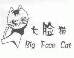 大脸猫;BIG FACE CAT