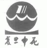 复旦申花