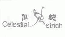 仙鸵;CELESTIAL STRICH