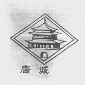 唐城