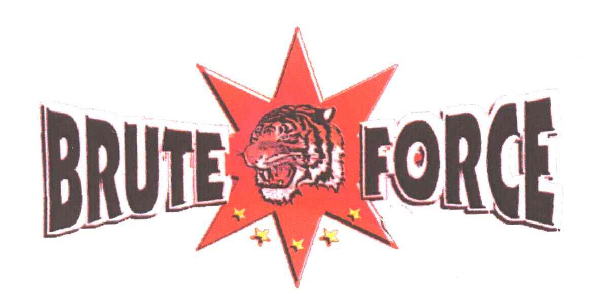 BRUTE FORCE