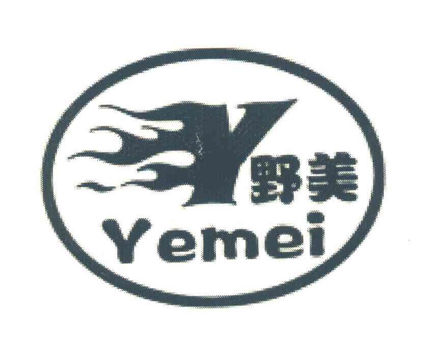 野美 Y