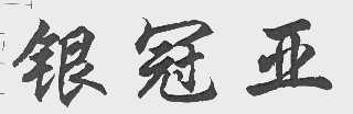 银冠亚