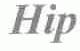 HIP