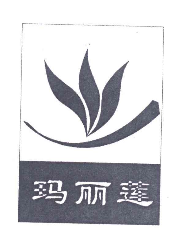 玛丽莲