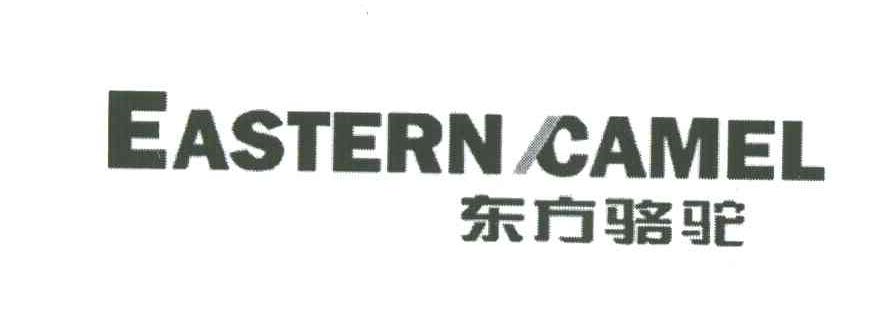 EASTERN CAMEL;东方骆驼