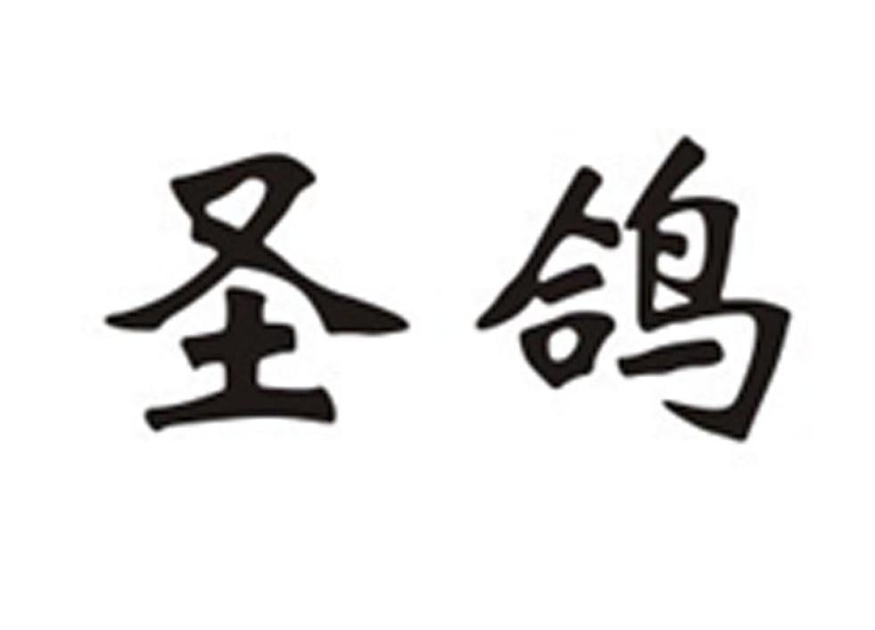 圣鸽