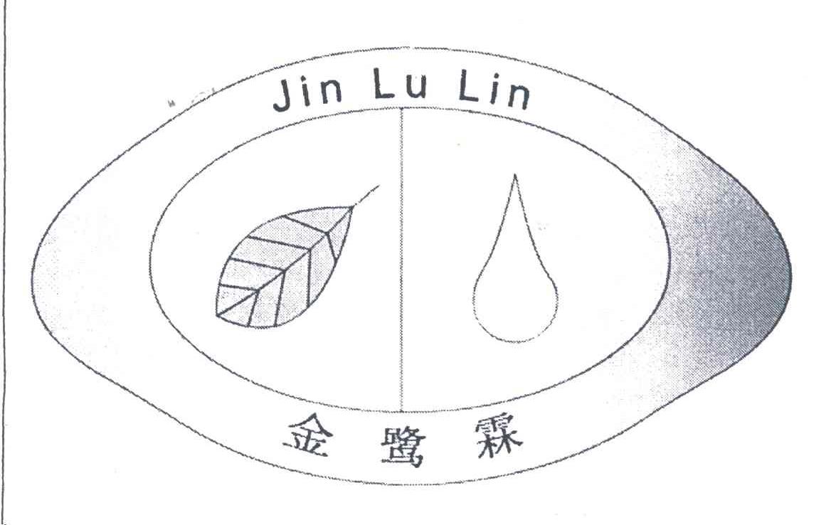 金鹭霖