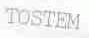TOSTEM