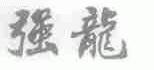 强龙