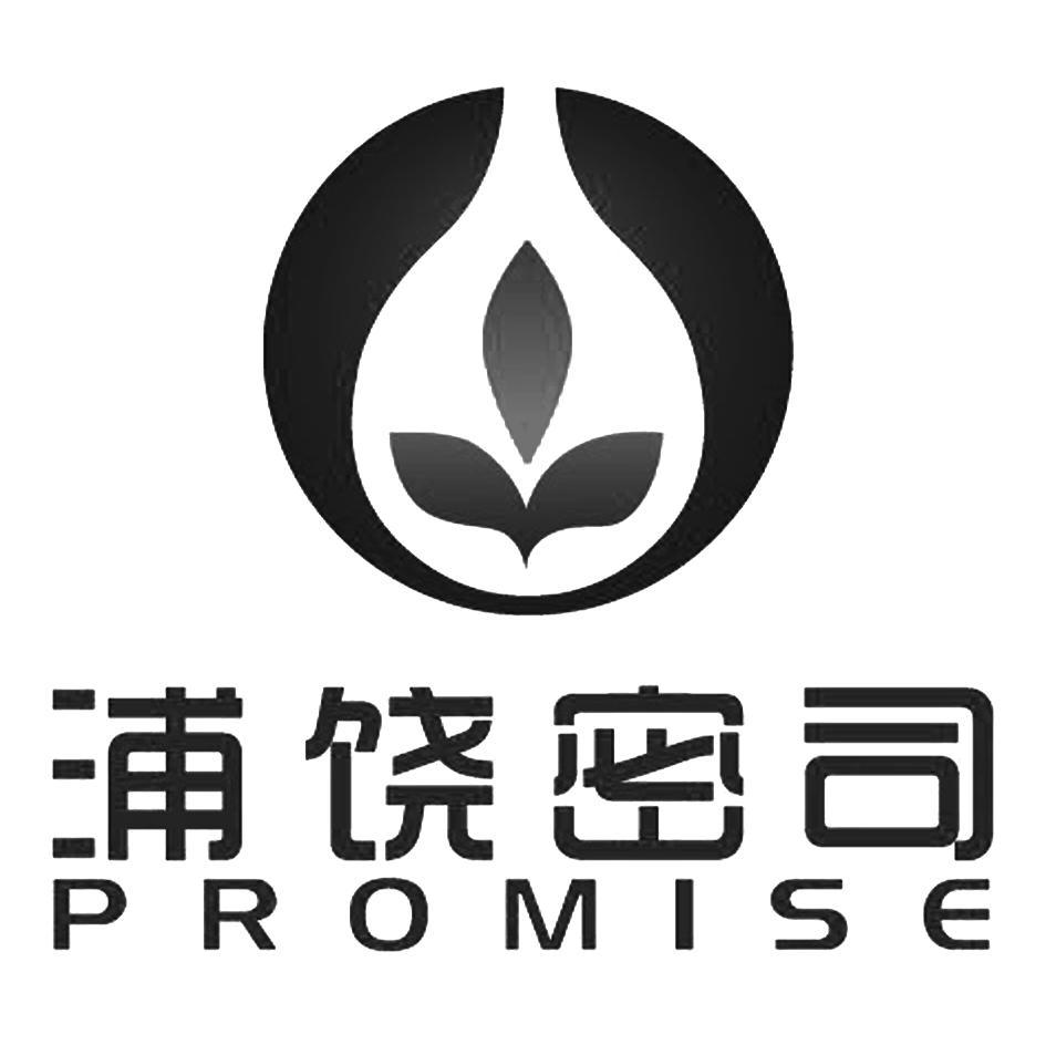 浦饶密司 PROMISE