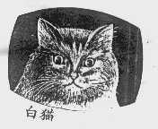 白猫