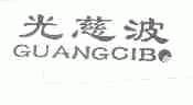 光慈波