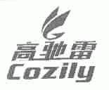 高驰雷;COZILY