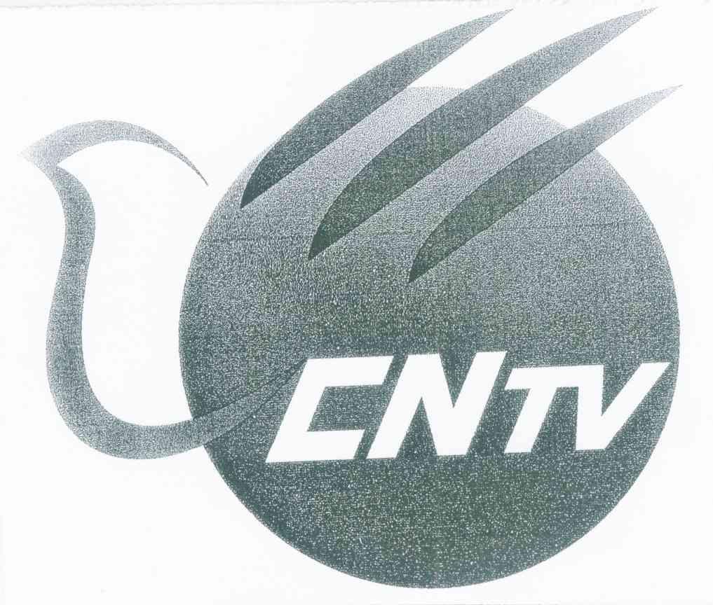 CNTV