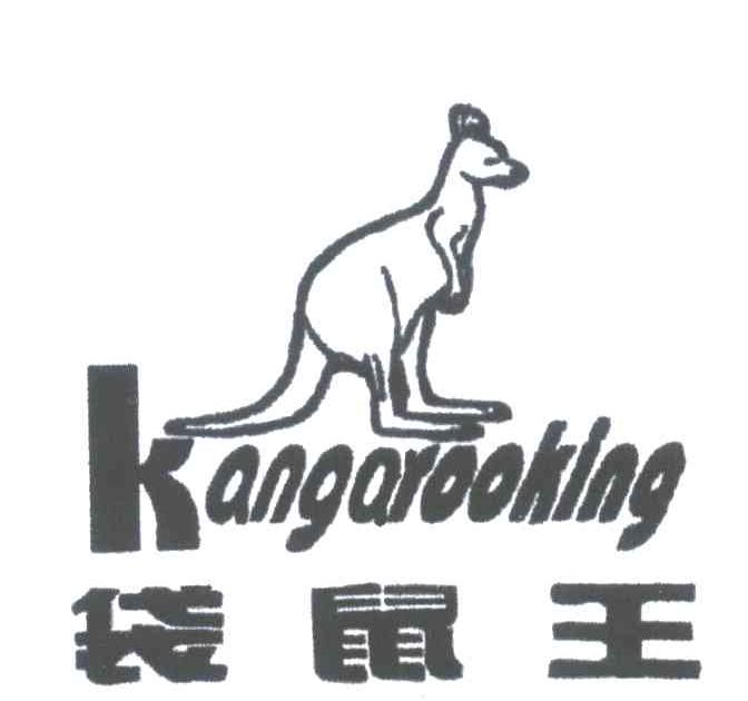 袋鼠王