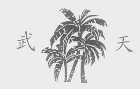 武天