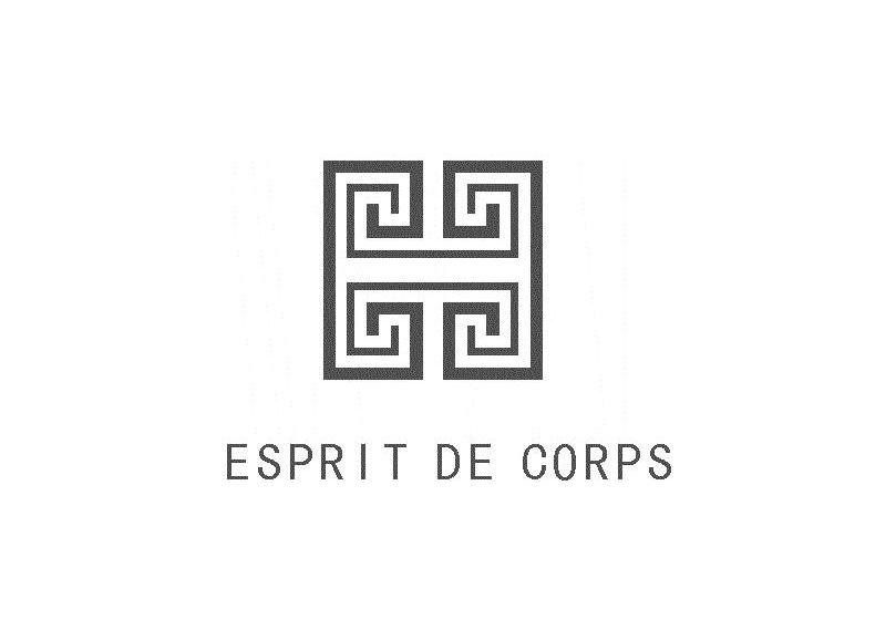 ESPRIT DE CORPS
