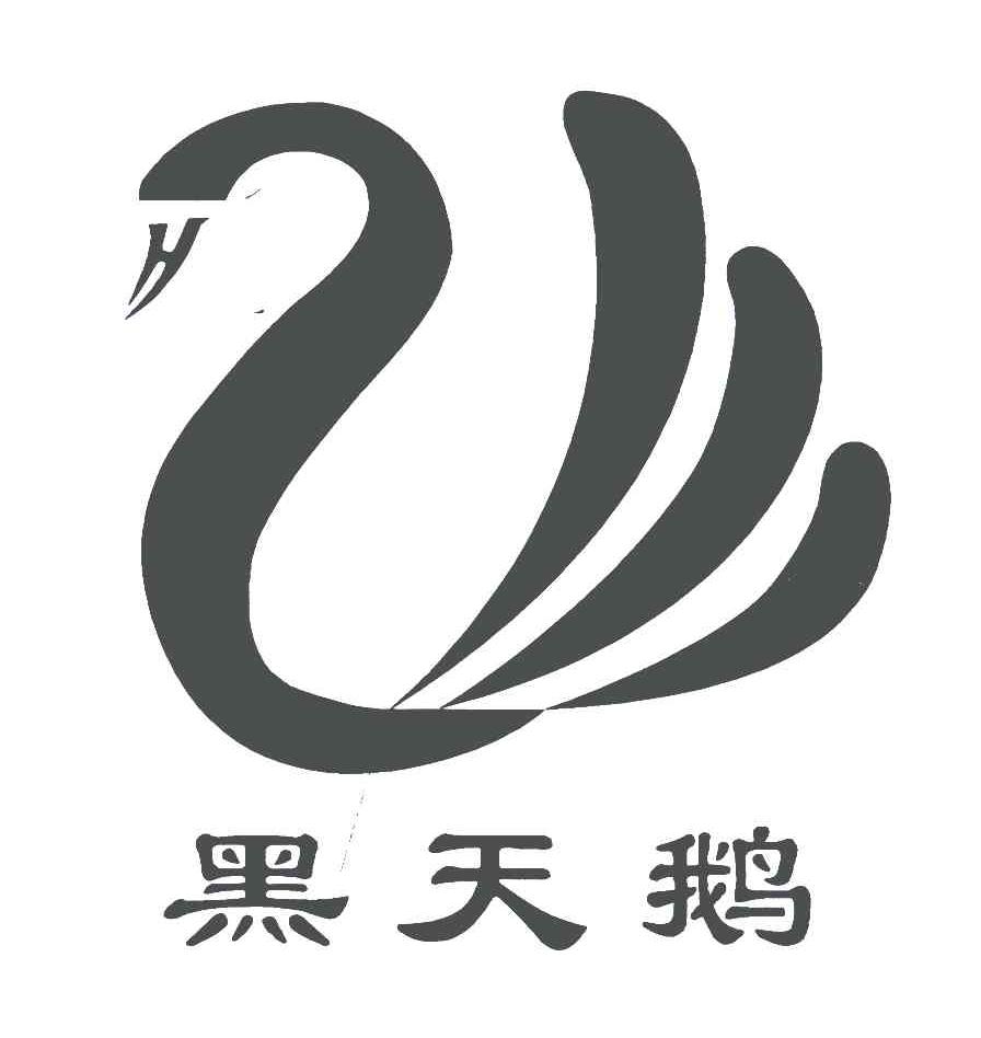 黑天鹅