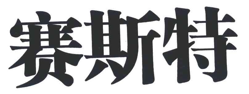 赛斯特