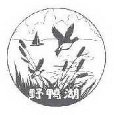 野鸭湖