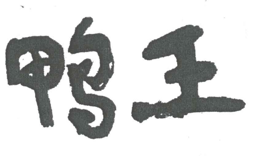 鸭王