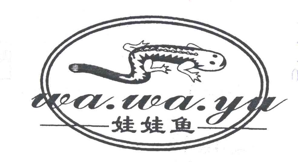 娃娃鱼