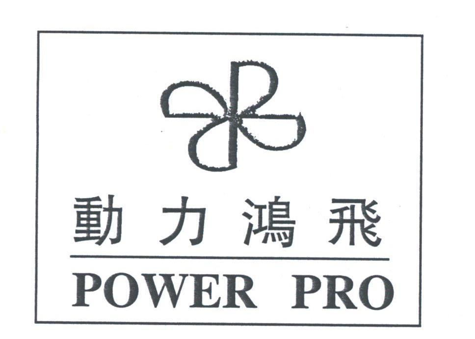 动力鸿飞;POWER PRO