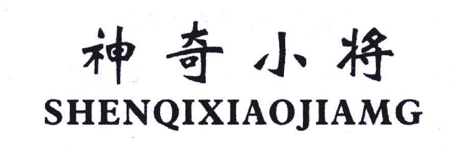 神奇小将