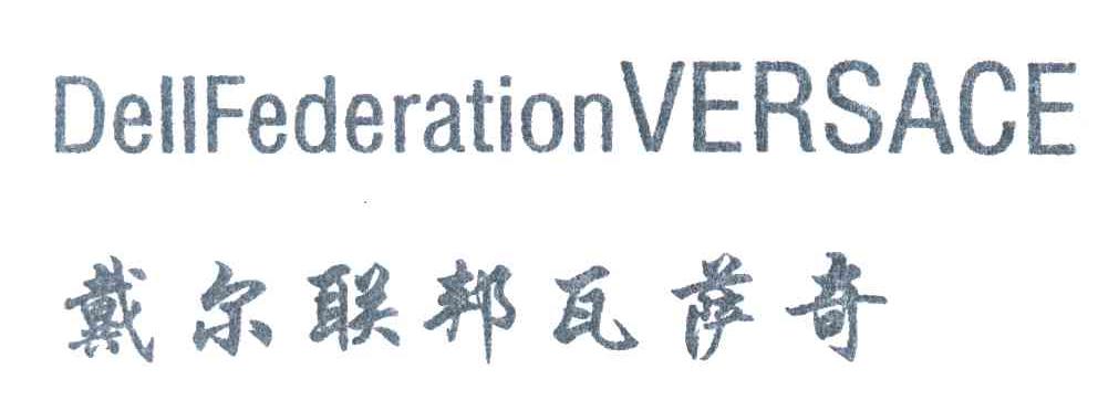 戴尔联邦瓦萨奇;DELLFEDERATION VERSACE