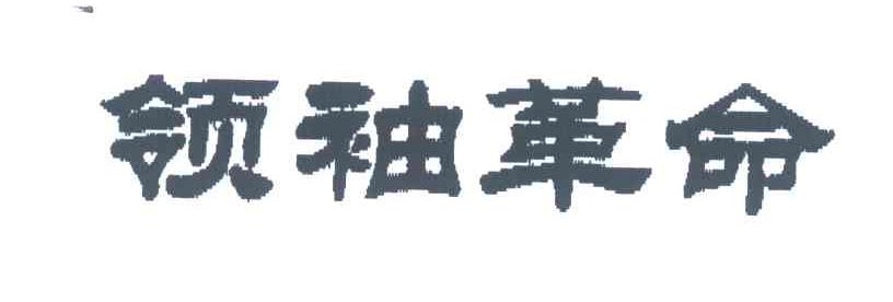 领袖革命