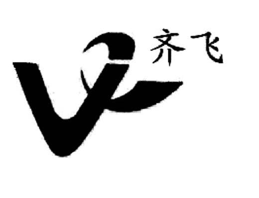 齐飞 V