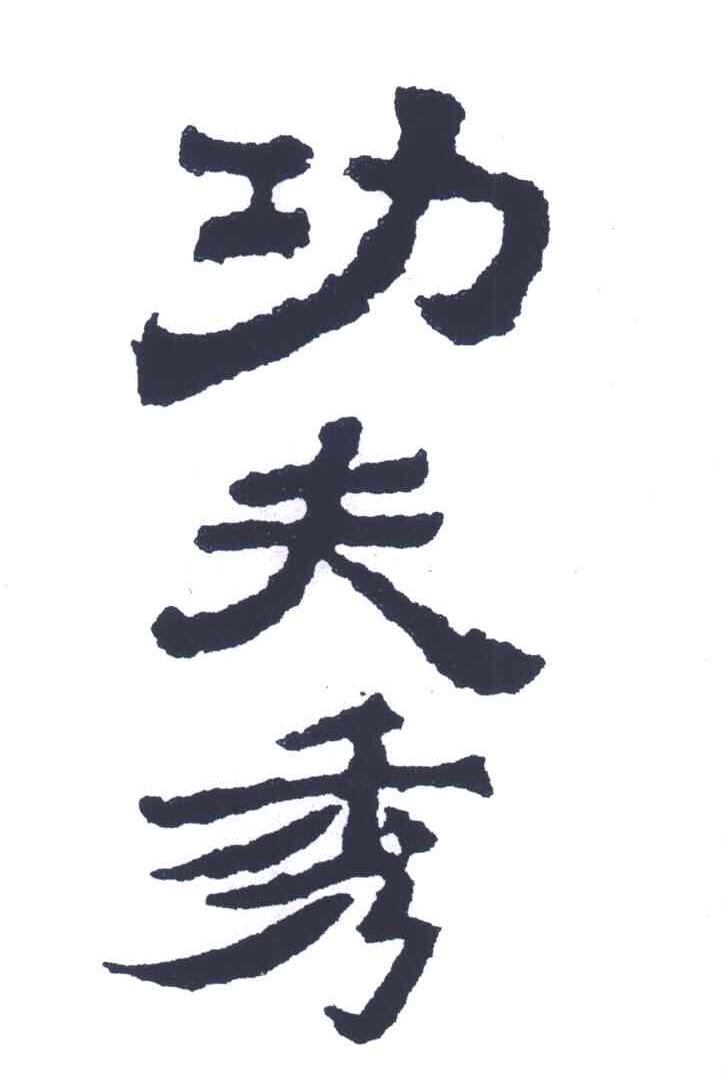 功夫秀