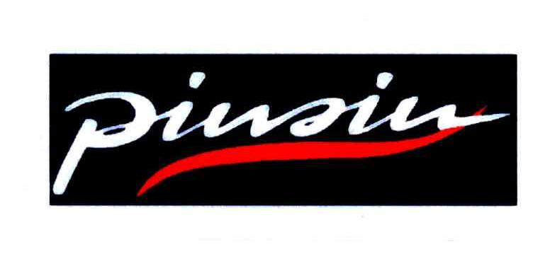 PINSIN