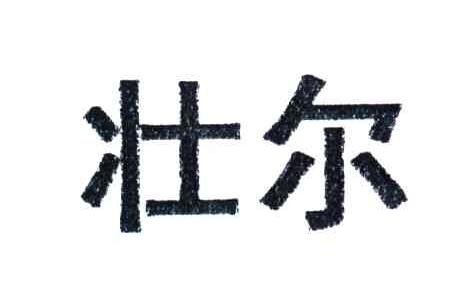 壮尔