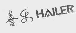 喜乐   HAILER