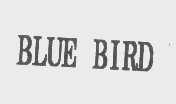 BLUE BIRD