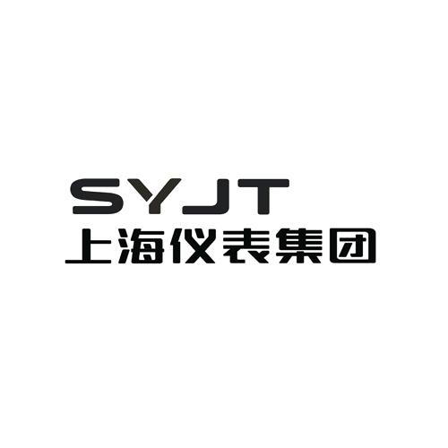SYJT 上海仪表集团