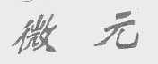 微元