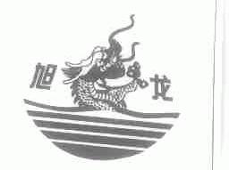 旭龙