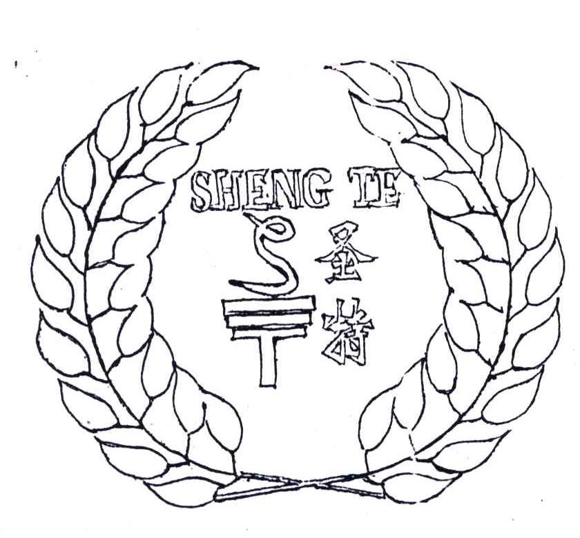 圣特;ST