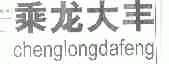 乘龙大丰