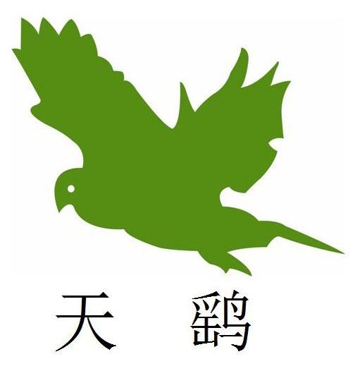 天鹞