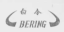 白令    BERING