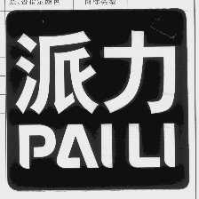 派力   PAILI