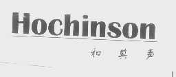 和其声   HOCHINSON