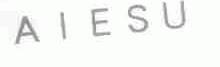 AIESU