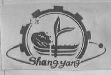 上洋