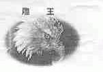 雕王