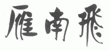 雁南飞